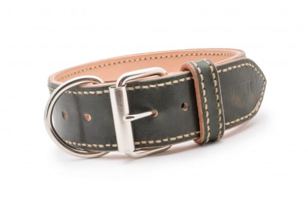 Luxusní kožený obojek zelený Caciato - 90ae82a725d0937bf1a9f8880