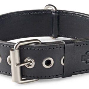 Psí obojek černý 4