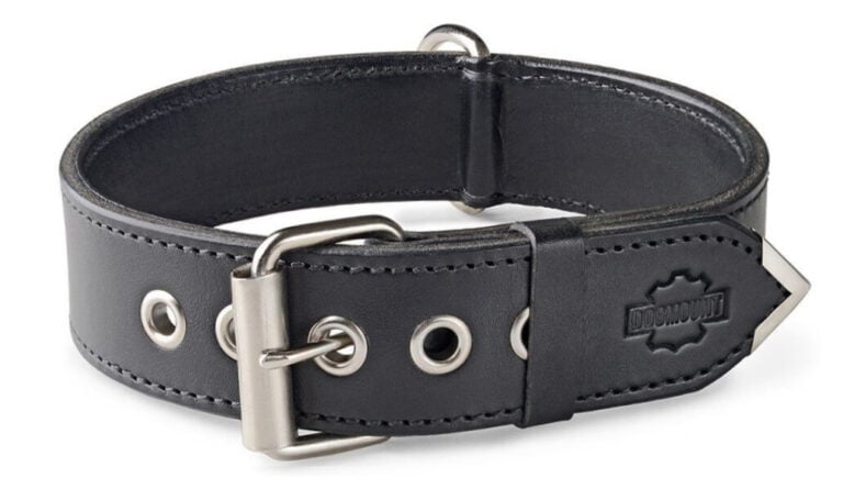 Psí obojek černý 4