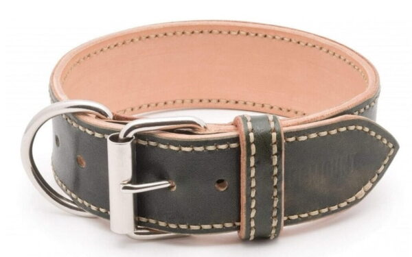 Luxury Dog Collar Extra Caciato 2