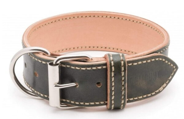 Luxury Dog Collar Extra Caciato 2