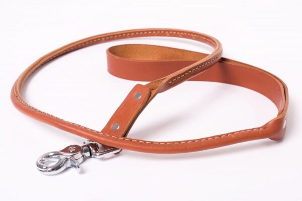 Kožené vodítko zaoblené - b21341b7013e97fc69f9384b0