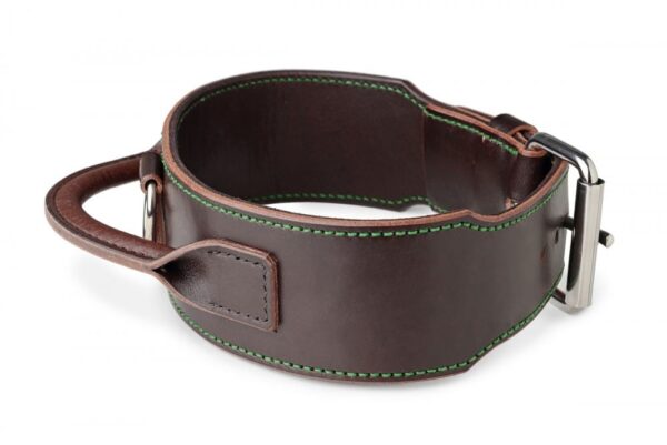 Obojek s úchytem - b5ac6e14e6fb9bda50ea053fa