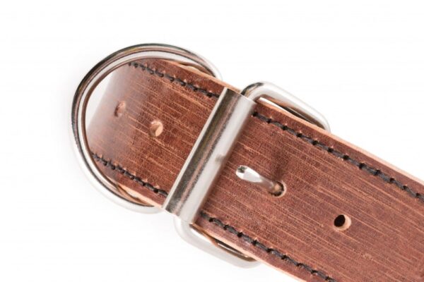 Kožený hnědý obojek pro psa Extra Vecio - eb4354d86150f012694edf3a8