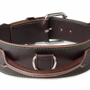 obojek pro psa s úchytem