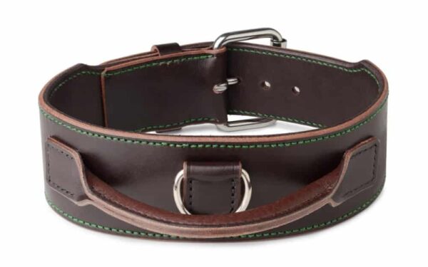 obojek pro psa s úchytem