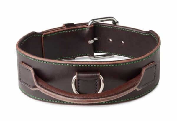 obojek pro psa s úchytem