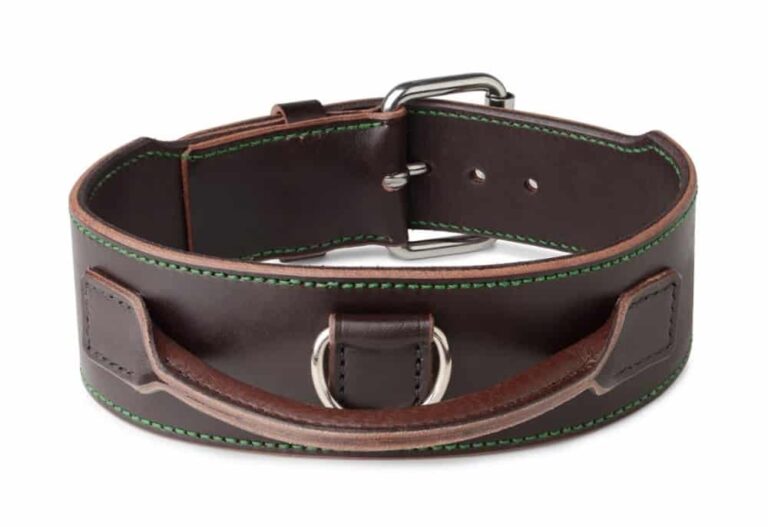 obojek pro psa s úchytem