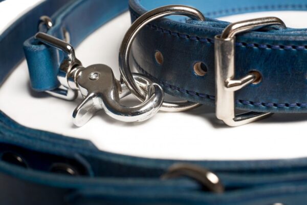 Kožený obojek s vodítkem v oceánové modré - 2de1056777aed7af2e5e2c2dd