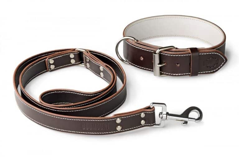 Set obojku a vodítka hnědá & bílá