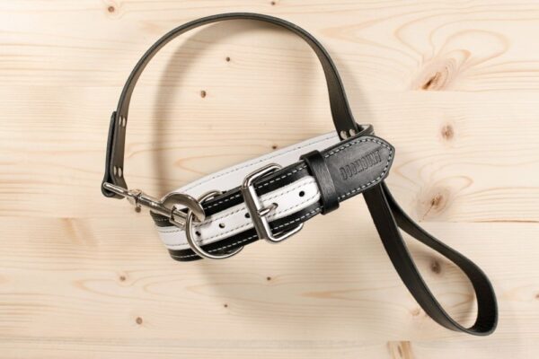 Kožený obojek s vodítkem v černobílém provedení - 46ed187bf782f6239cbba2d93