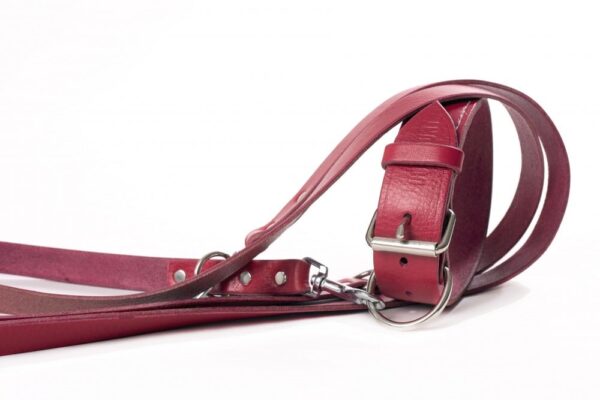 Kožený obojek a kožené vodítko v odstínu bordó - 93052b1924fa611d22b734324