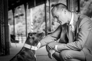 Elli a první kožený obojek pro pitbula - b87f7c6650b70d58862ad6296 Elli a první kožený obojek pro pitbula - b87f7c6650b70d58862ad6296