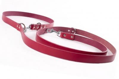 Váš psí miláček si zaslouží kvalitní vybavení - dog leash vodítko