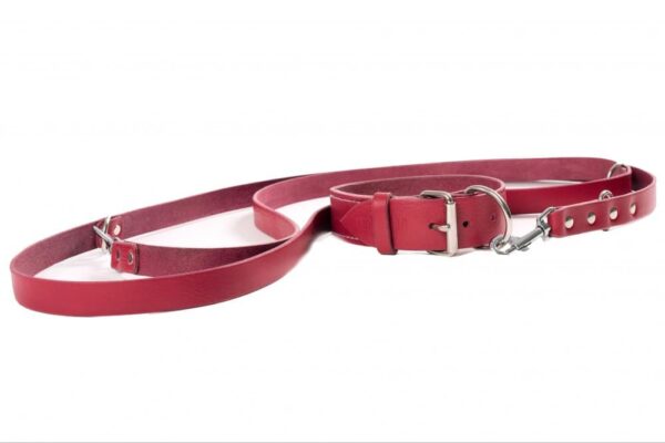 Kožený obojek a kožené vodítko v odstínu bordó - fc52a5bbfeb021af448ae1f1b