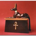 Historie obojku pro psa