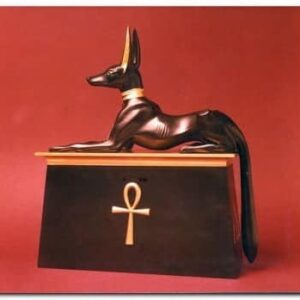 Historie obojku pro psa