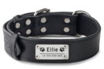 Obojky pro psy se jménem